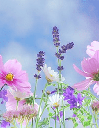 Nancy Sinclair Blakey Obituary