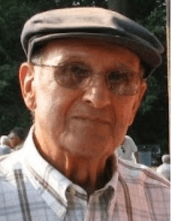 Dominic H. Tavoni, Jr. Obituary